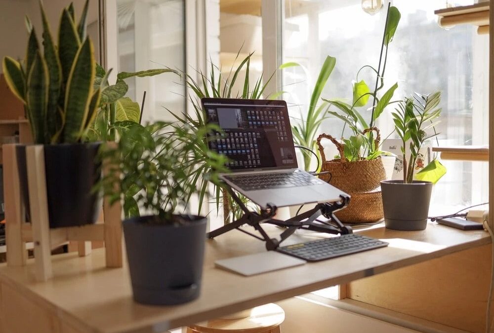 New Report: ALSPs to Modernize Legal Industry